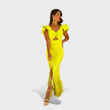 Lucy - Neon Flamenco Dress